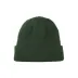 Gorro Disturb Reflective Beanie in Green